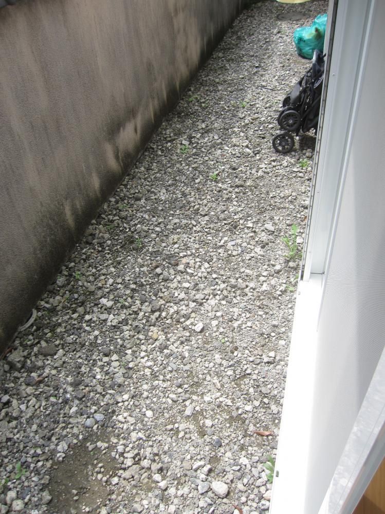 �y�o���R�j�[�z�@