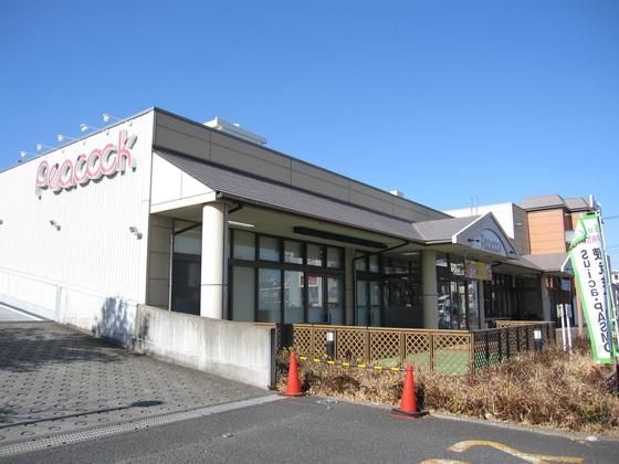 �y���Ӂz�@�s�[�R�b�N�@�V�O�O��