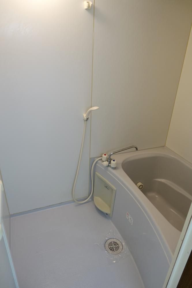 �y�o�X�z�@